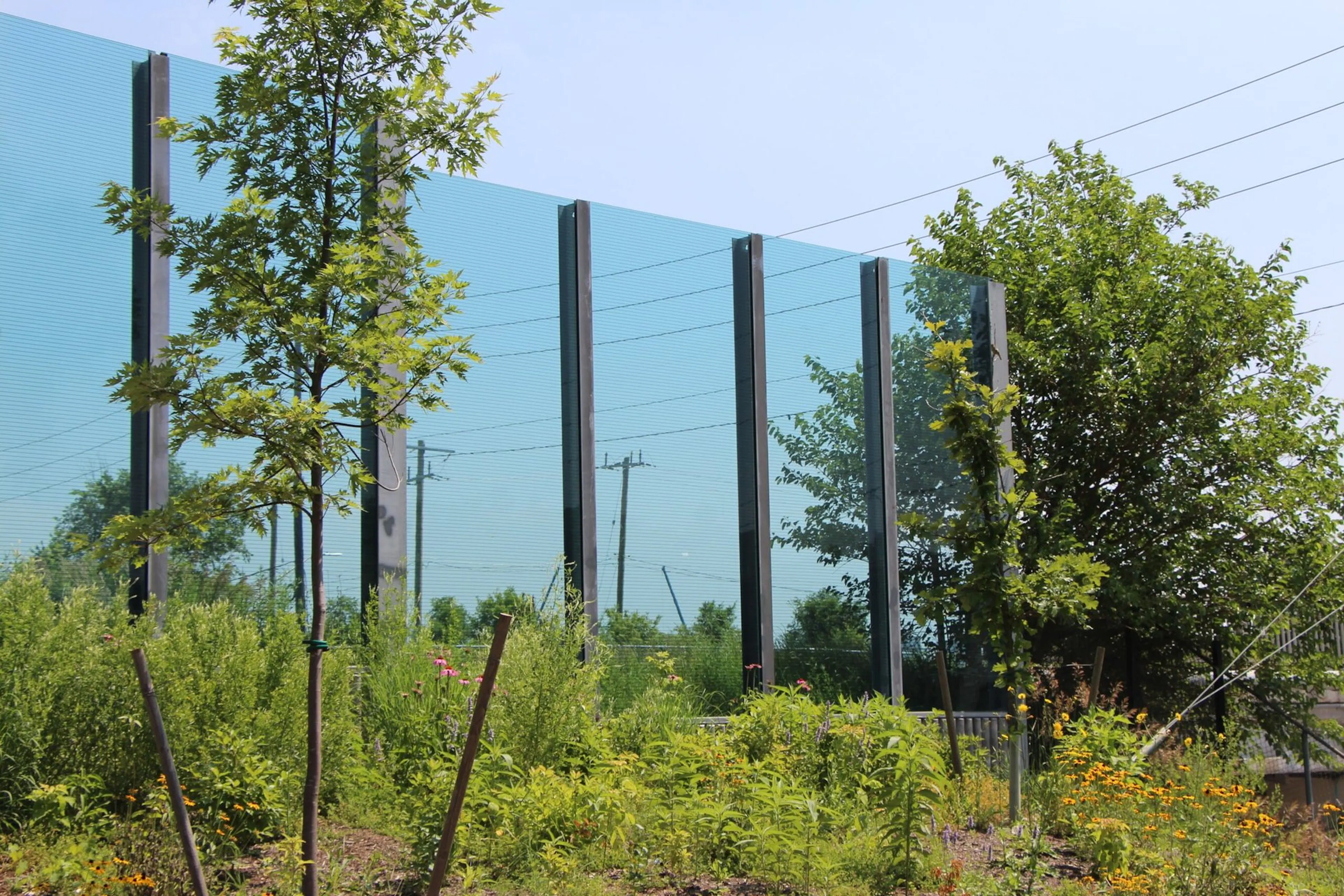 Transparent noise wall panels set between steel posts amid trackside planting