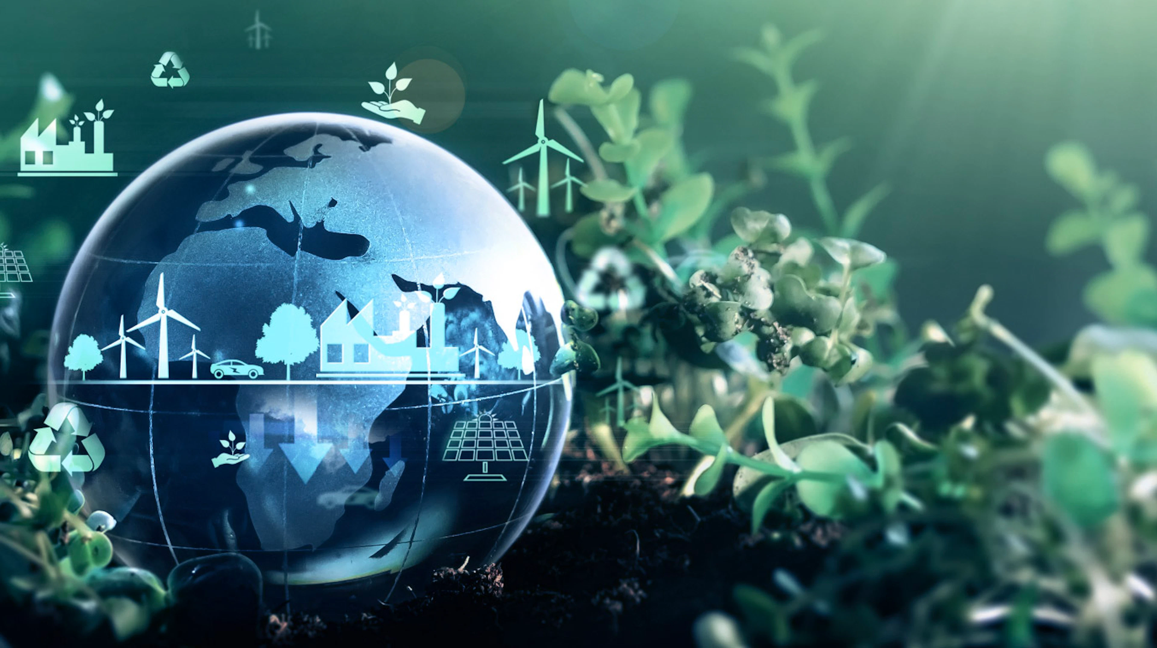 RWE Biodiversity Credits Challenge