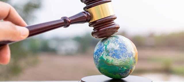 L'affaire du siècle, l'Etat condamné pour son inaction pour le climat