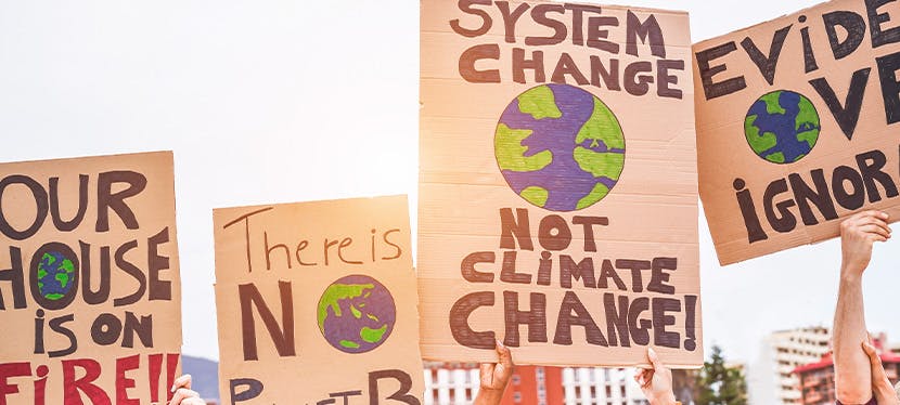 Des pancartes lors d'une manifestation pour le climat