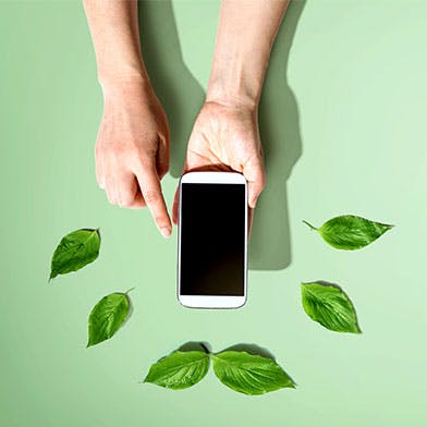 image d'illustration pour les smartphones les plus écologiques