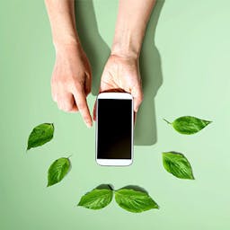 image d'illustration pour les smartphones les plus écologiques