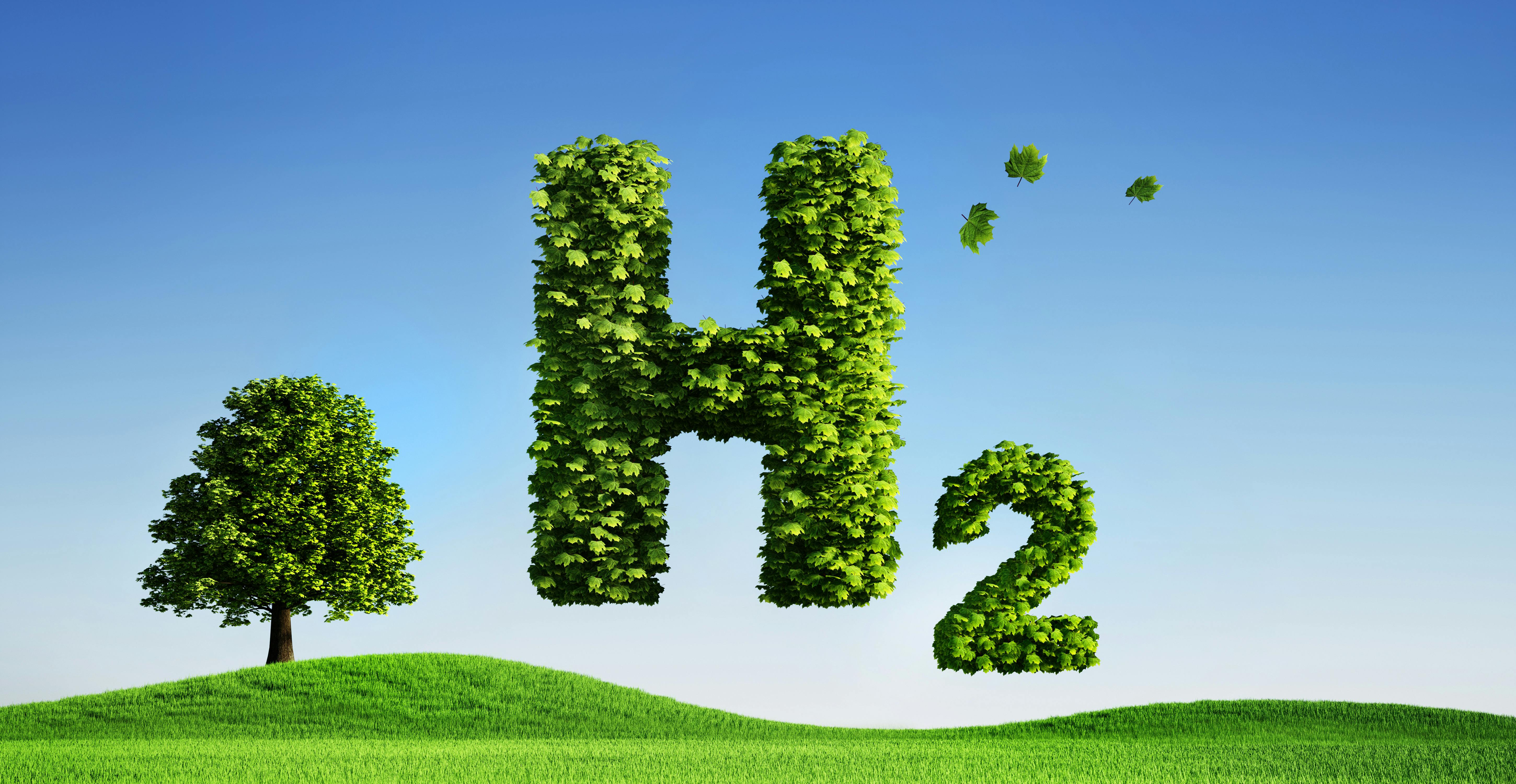 L’hydrogène vert : énergie vectrice de la transition énergétique ?