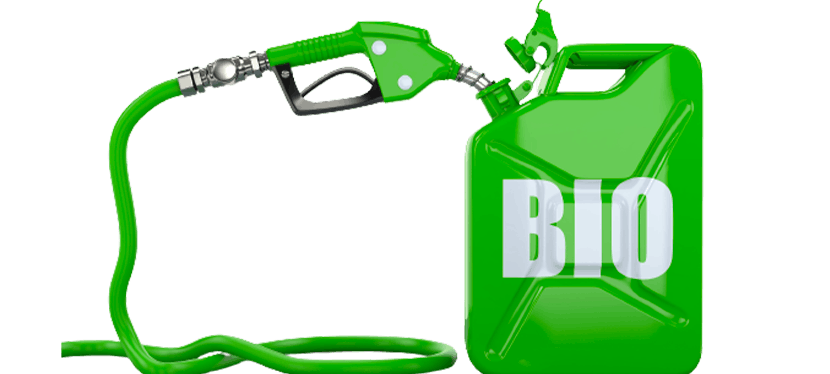 Biocarburants : en route vers une mobilité plus propre