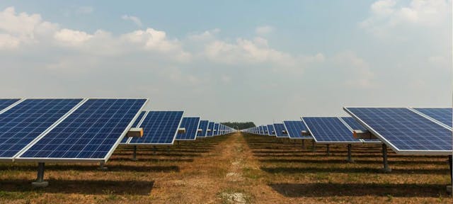 Photo d'une ferme solaire, avec une quantité de panneaux photovoltaïques installés dans un champ