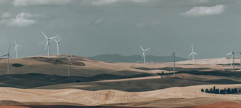 Des éoliennes dans des champs pour les fournisseurs d'électricité verte