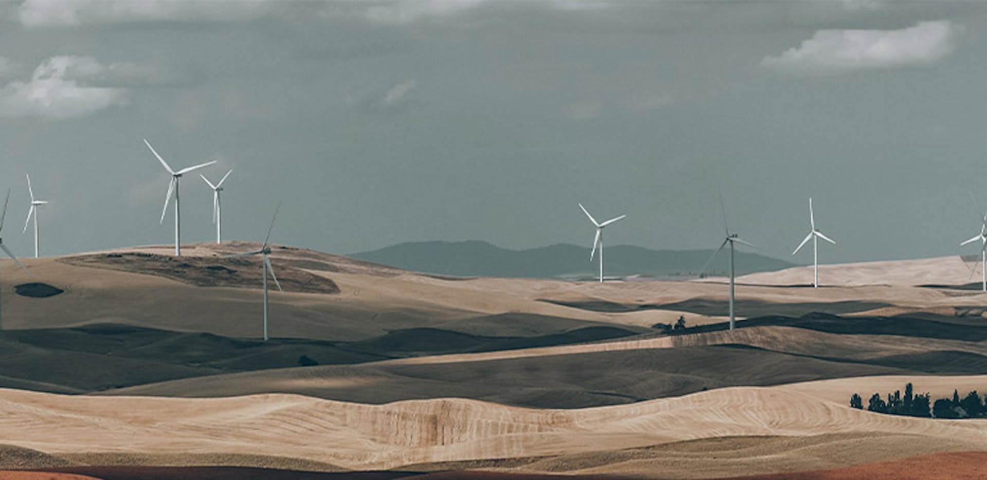 Des éoliennes dans des champs pour les fournisseurs d'électricité verte