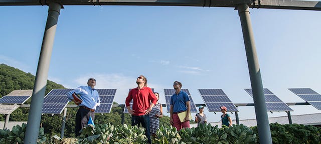 Des personnes dans un champs de panneaux solaires regardant vers les structures au dessus d'eux.