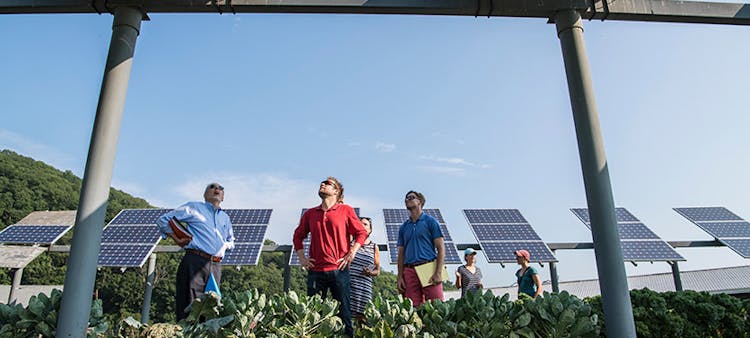Des personnes dans un champs de panneaux solaires regardant vers les structures au dessus d'eux.