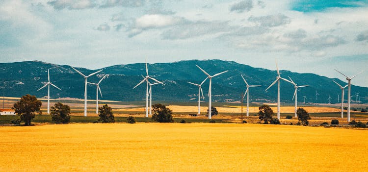 Éoliennes qui produisent de l'électricité renouvelable
