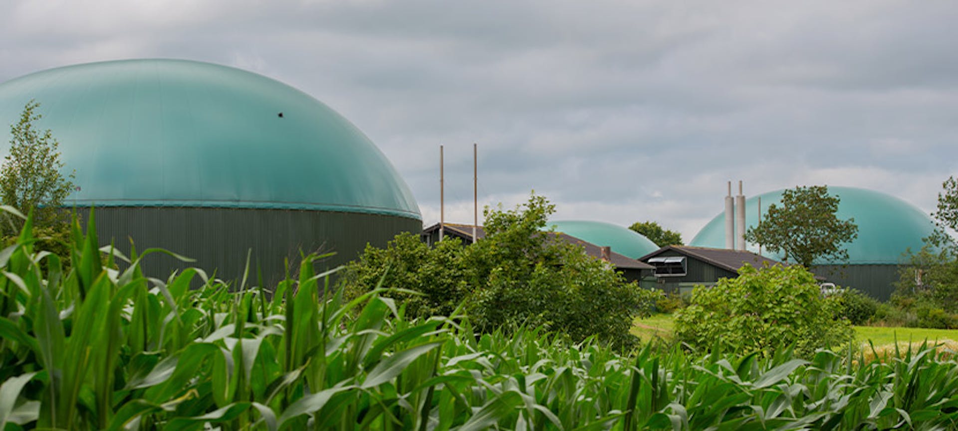 Une infrastructure de biogaz ou biométhane