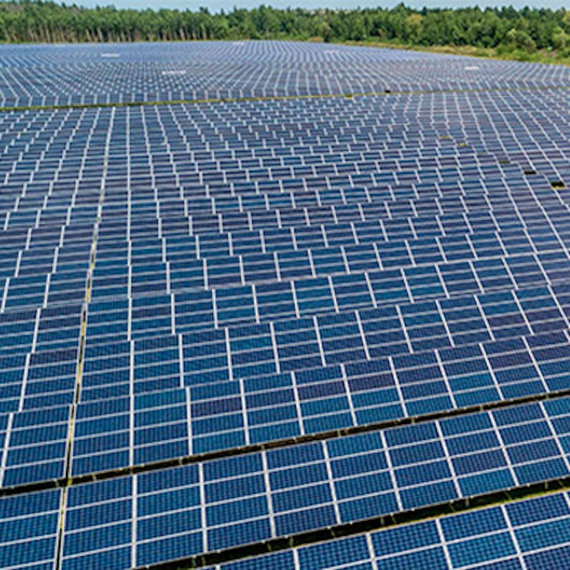 Ferme solaire