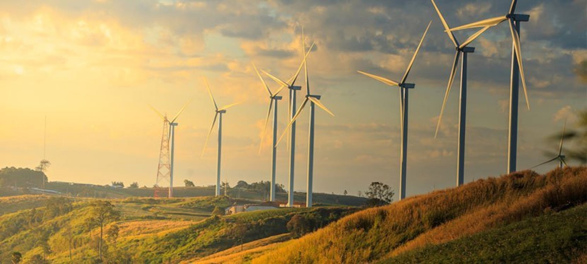 Une rangée d'éoliennes, appréciées des fournisseur d'électricité renouvelable