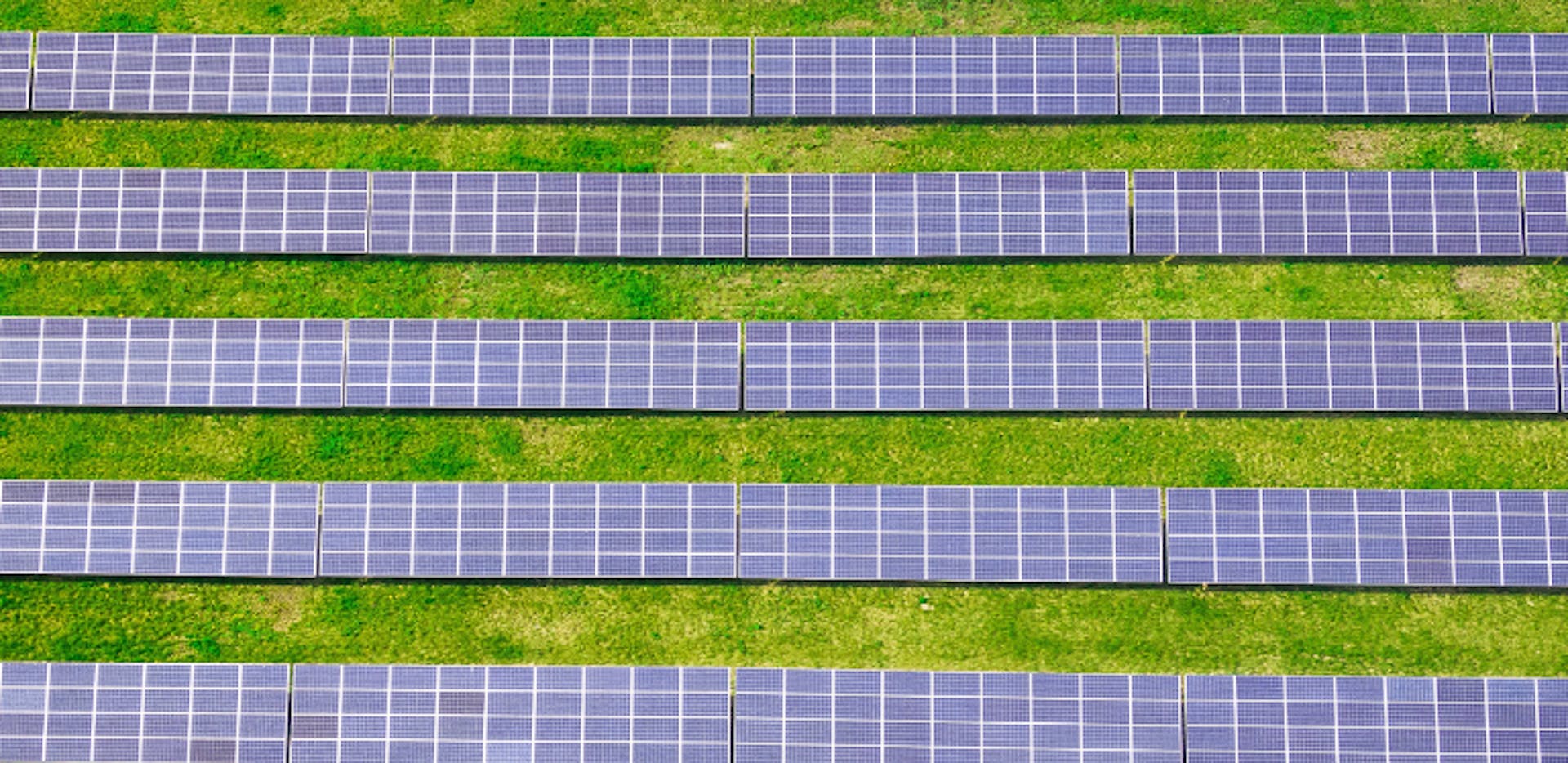 Champ de panneaux solaires