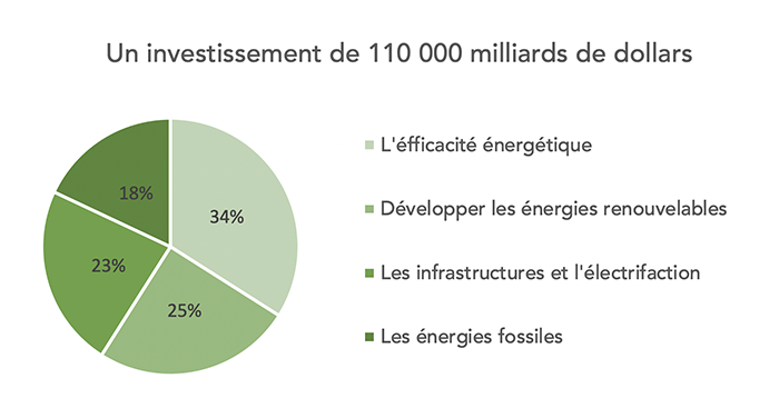 Graphique représentant les parties de l'investissement de 110 000 milliards de dollars