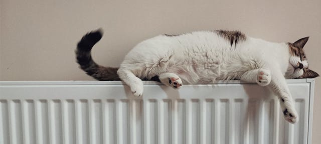 Chat qui dort sur un radiateur électrique