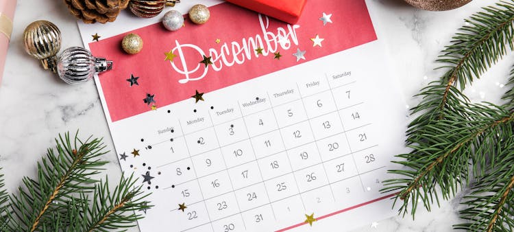 Les 10 bonnes nouvelles de décembre 2020