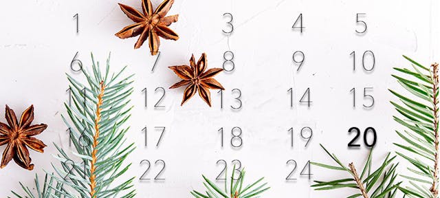 20ème jour du calendrier de l'avent des articles : les écolos mettent-ils en place une dictature verte ?