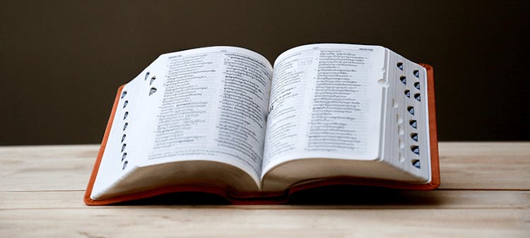 dictionnaire