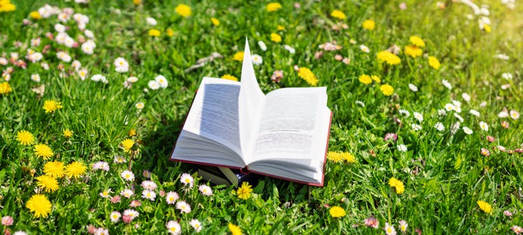 Livre écologique ouvert sur l'herbe