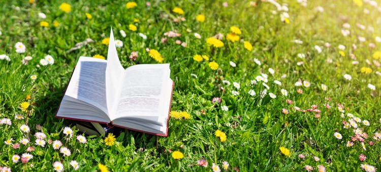 Livre écologique ouvert sur l'herbe