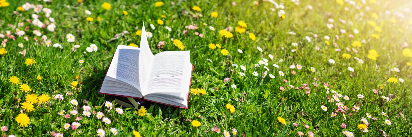 Littérature et écologie : 10 livres à dévorer