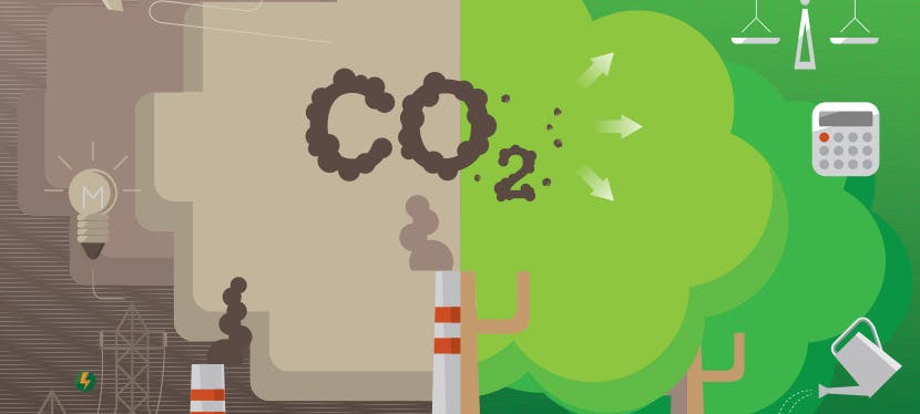 Compensation carbone : qu’est-ce que c’est et comment ça marche ?