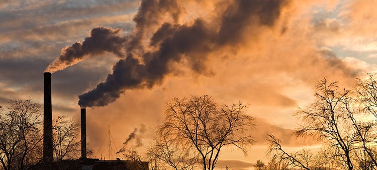 Une usine laissant s'échapper des fumées noires au dessus des arbres