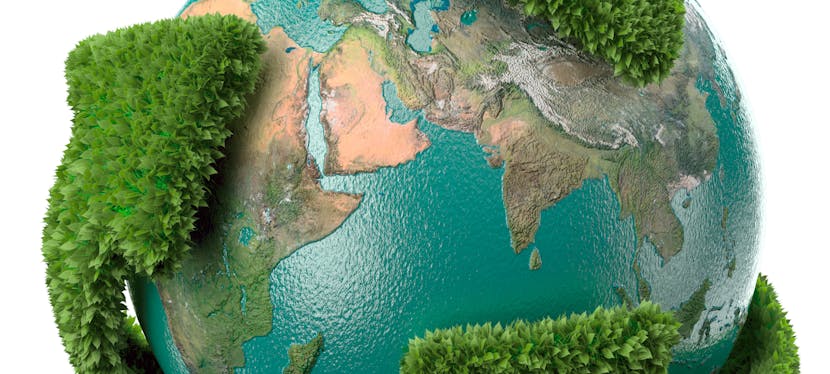 Quelles différences entre la transition énergétique et la transition écologique ?