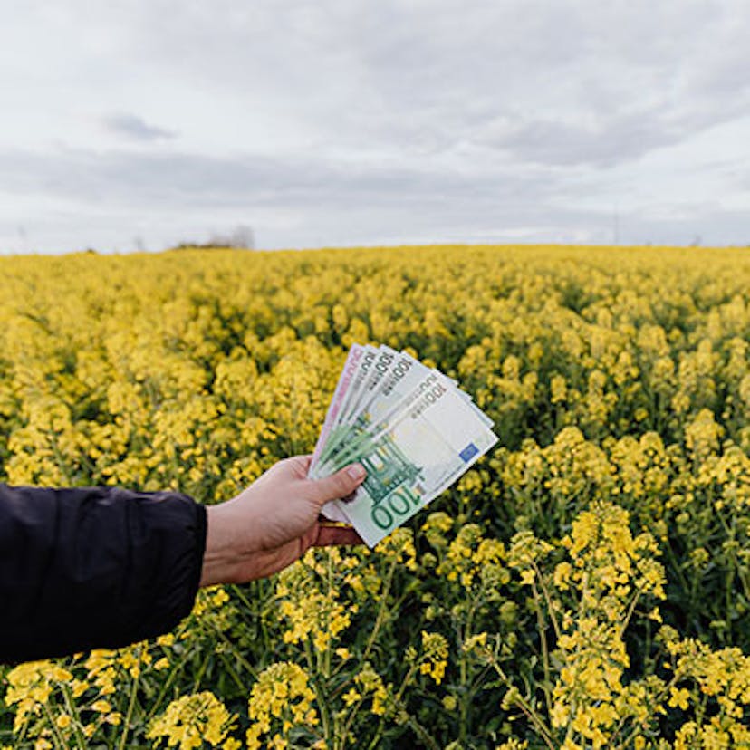 Des investisseurs qui financent la transition énergétique.