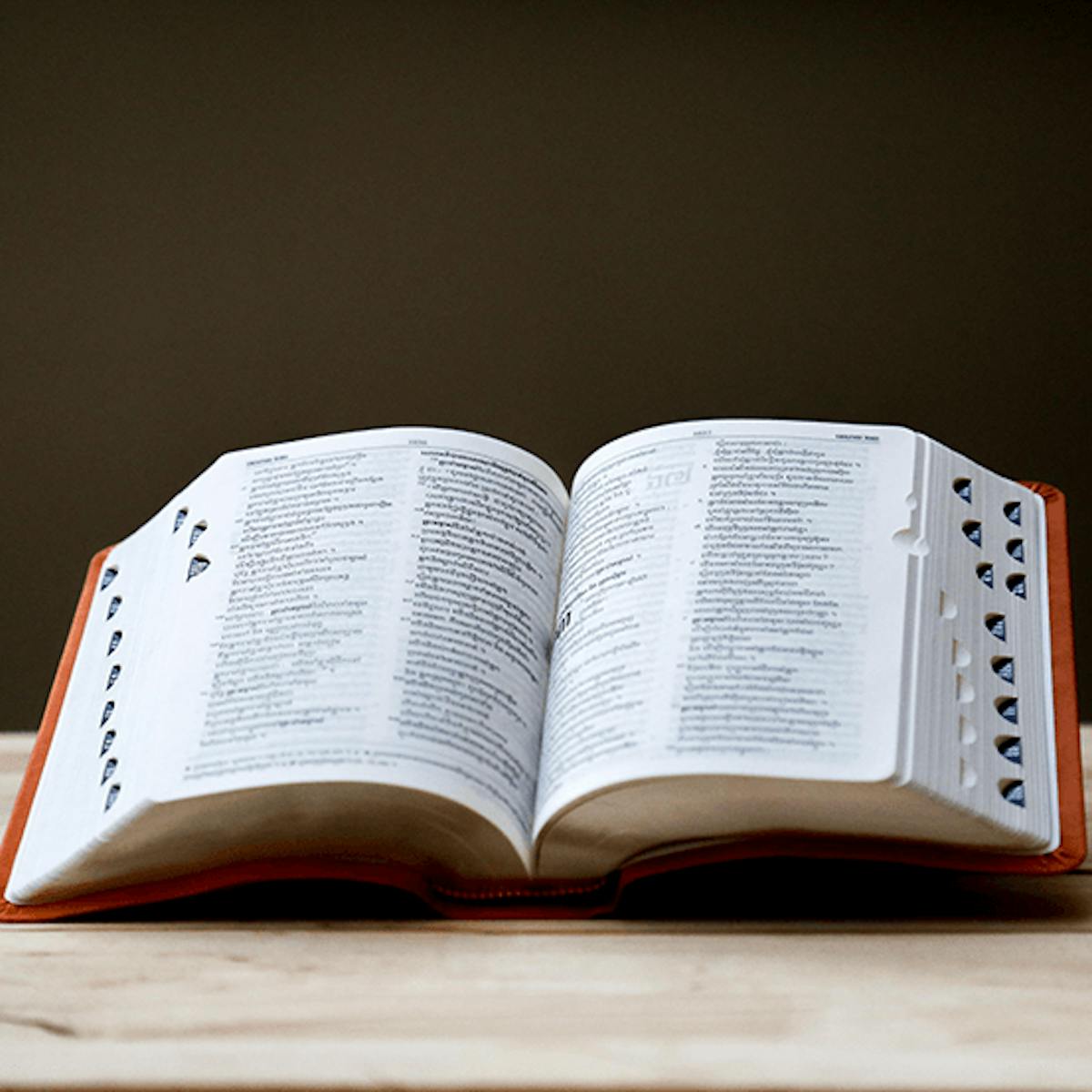 dictionnaire