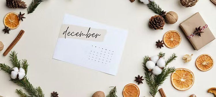 Les 10 bonnes nouvelles du mois de décembre 2021.