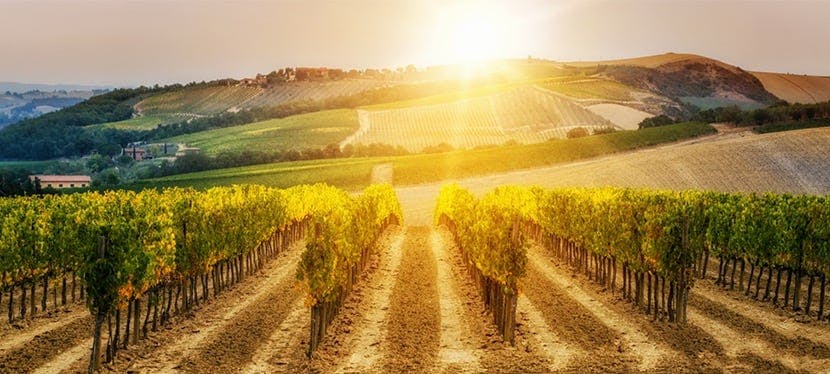 La France est-elle le 4e pays le plus vert du monde ?