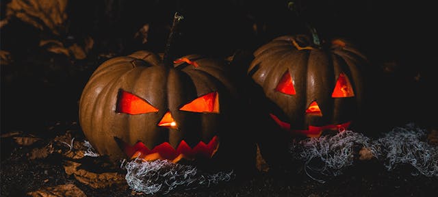 Une décoration écolo pour Halloween