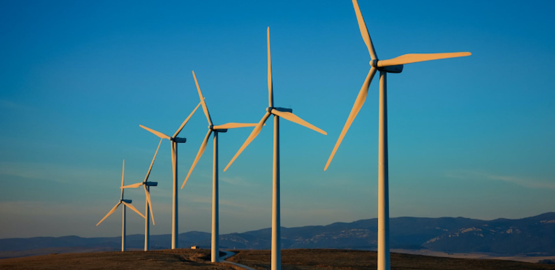 Éoliennes qui servent à la production d'électricité verte