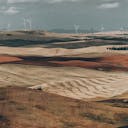 Des éoliennes dans des champs pour les fournisseurs d'électricité verte