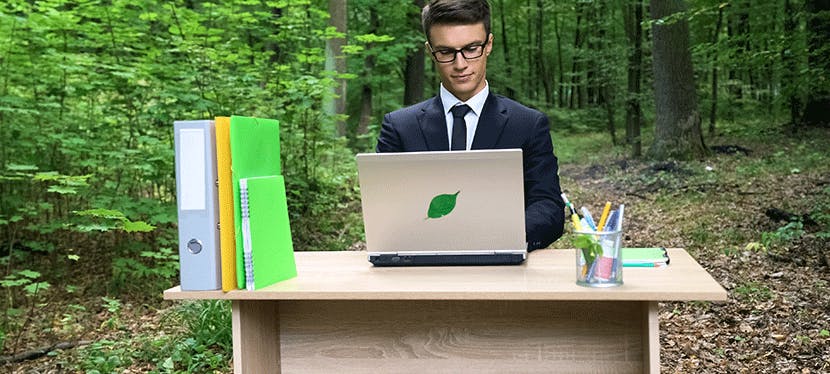 Quels sont les écogestes simples et pratiques à adopter au bureau ?