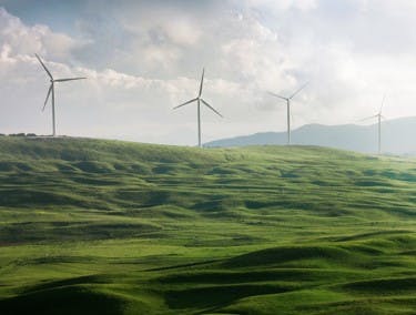 Un plaine verte avec des éoliennes