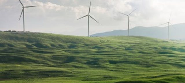 Un plaine verte avec des éoliennes