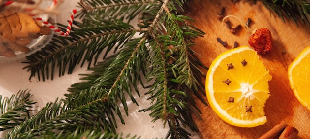 Orange et batons de cannelle pour Noël
