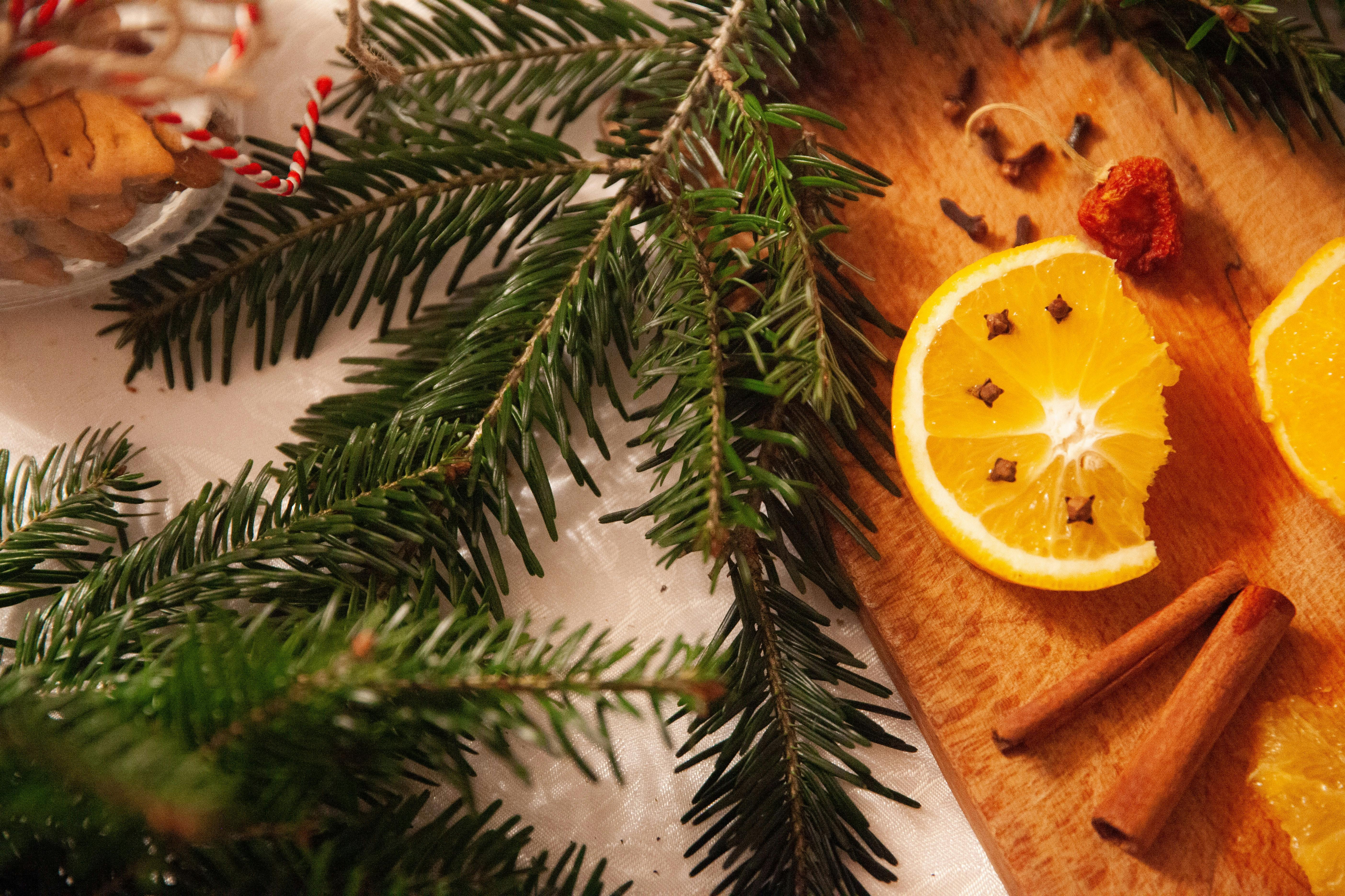 Repas de Noël végétarien : les alternatives tout aussi festives à la traditionnelle dinde