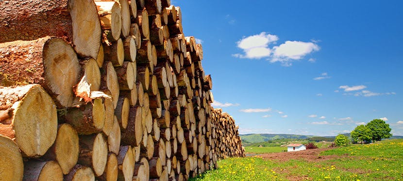 Bois de chauffage, bois densifié, granulés bois dans le Morbihan