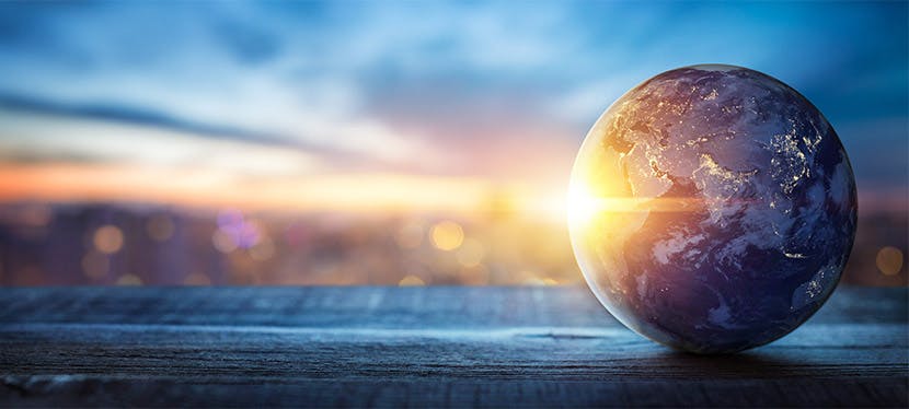 Tout savoir sur l’écologie et ses enjeux