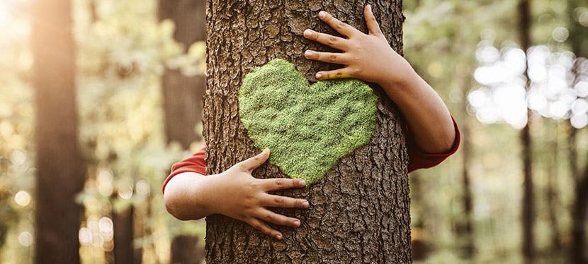 Enfant qui enlace un arbre pour préserver l'écologie.
