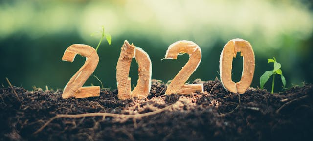 Les 10 nouvelles positives de l'année 2020 