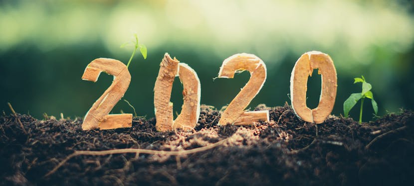 Les 10 nouvelles positives de 2020
