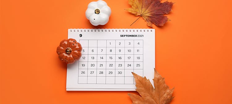 Calendrier du mois de septembre 2021 entouré de feuilles et de boules de guirlandes en forme d'ail et de citrouille