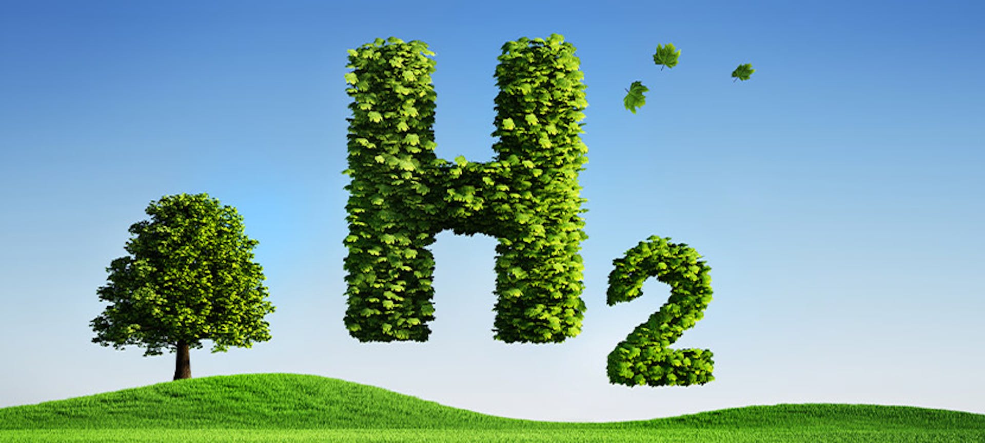 Hydrogène vert