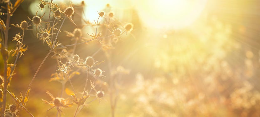 une lumière naturelle