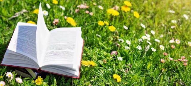 Livre écologique ouvert sur l'herbe.